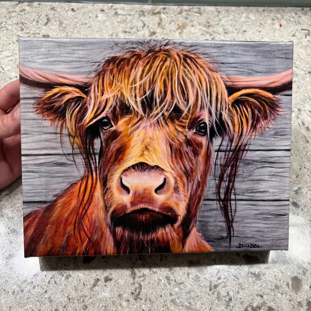NEW‎ The Highland Cow Gallery Wrap Print from Original Painting Farmhouse 8x10